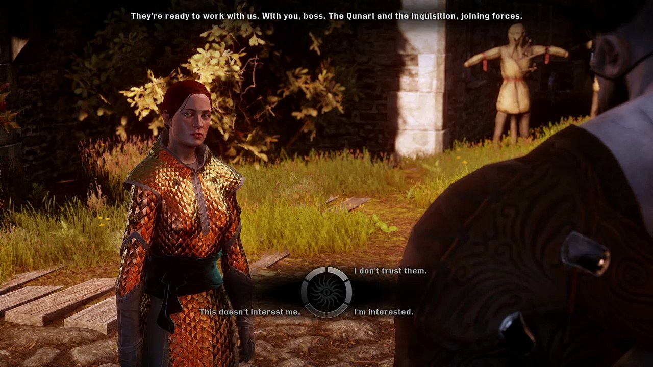 Dragon Age™: Inquisition_20160801183636