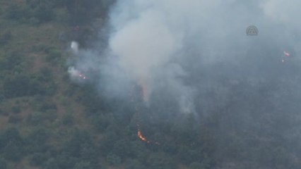 Makilik Alanda Yangın - Kocaeli