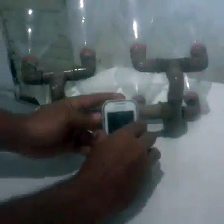 celularsom