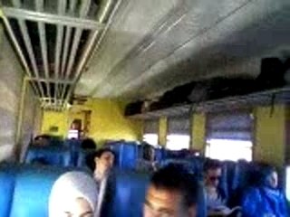 Dans le train 　Inside the train 　電車の中に