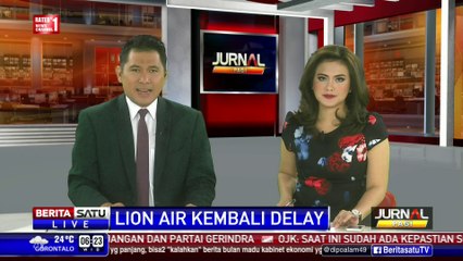Edward Sirait: Lion Air Juga Alami Permasalahan Kru