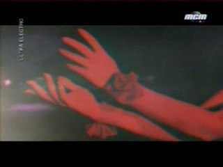 Saint Germain - Rose rouge 2000 By ZapMan