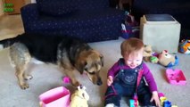 Babies Laughing Hysterically at Dogs Compilation 2016