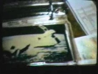 Billy Meier - Time Travel,Dinosaur photos