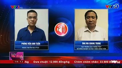 Thực hư về loại xoài giả có hạt chứa nilon đang lan truyền trên mạng trong mấy ngày nay.