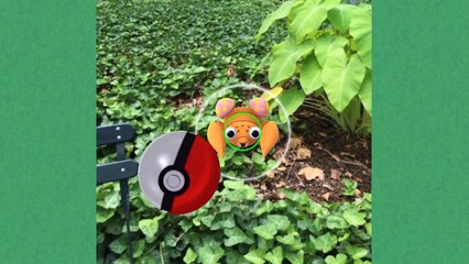 POKÉMON GO How to LEVEL UP Fast Video