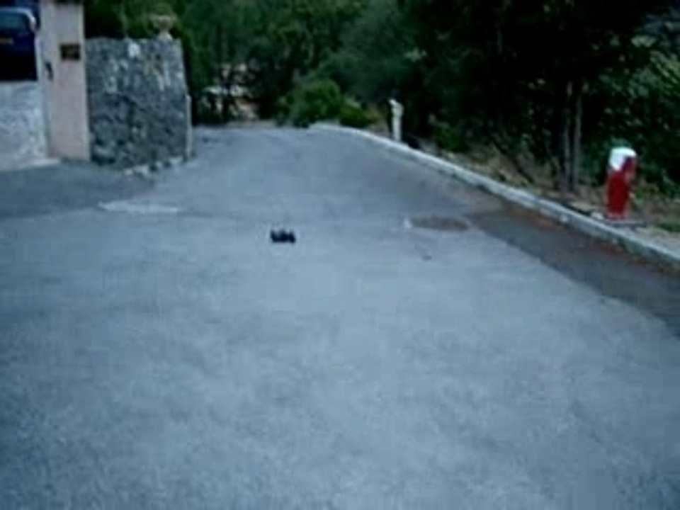 mini inferno BL brushless 4000kv