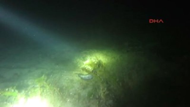 Sakarya Sapanca Gölü'nde Gece Yaşantısını Görüntülediler