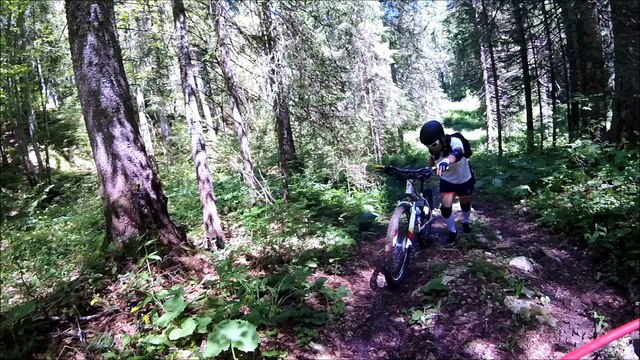 [ All Mountain ] Risoux Bois D'Amont crash - 16/07/2016 [ GoPro Session ]