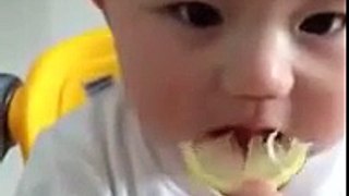 Cute Baby Eating Sour Lemon