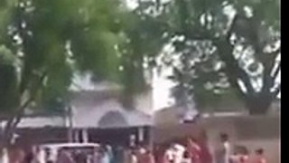 A Woman Praying Namaz on Tree in India - Viral Video