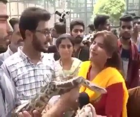 Off Camera scene of Brave Female Reporter Holding Snake in Her Hand