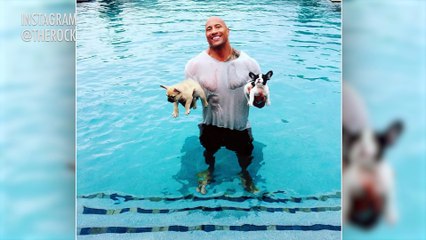 Dwayne  The Rock  Johnson Saves Drowning Puppies from Pool !