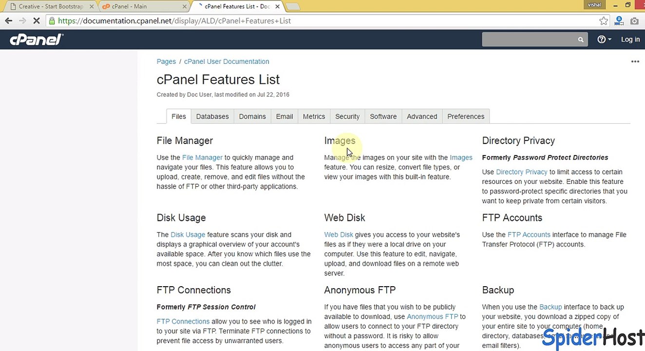 Effective Web Hosting Services India