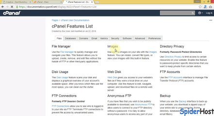 Effective Web Hosting Services India