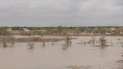 خسائر بشرية ومادية بفيضانات شرق السودان