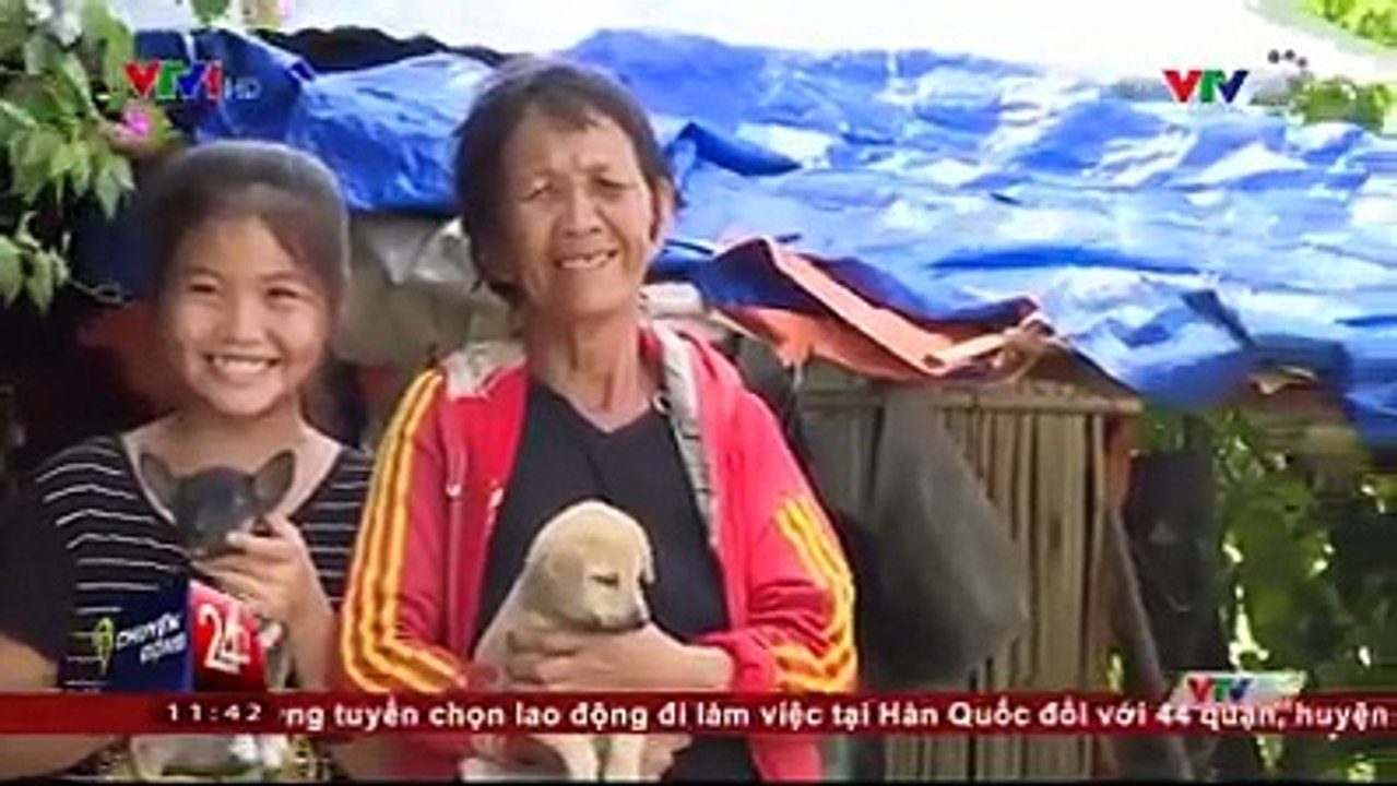 Dù hoàn cảnh khó khăn vất vả nhưng em vẫn sáu năm liền đạt học sinh giỏi. Nhưng em vẫn chỉ dám ước mơ lớn lên được làm nông dân để kiếm tiền nuôi ngoại vì em biết đi học sẽ rất tốn kém. Ôi xót xa.