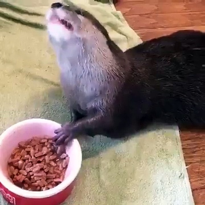 merveilleuse façon de manger
