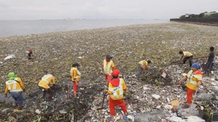 El tifón Nida cubre de basura y algas la bahía de Manila