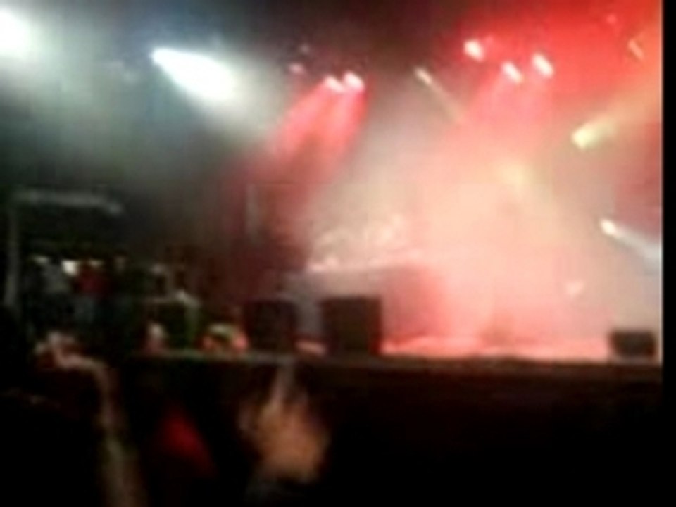Dj zebra (vieilles charrues 2007)