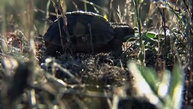 Taкие разные и важные..