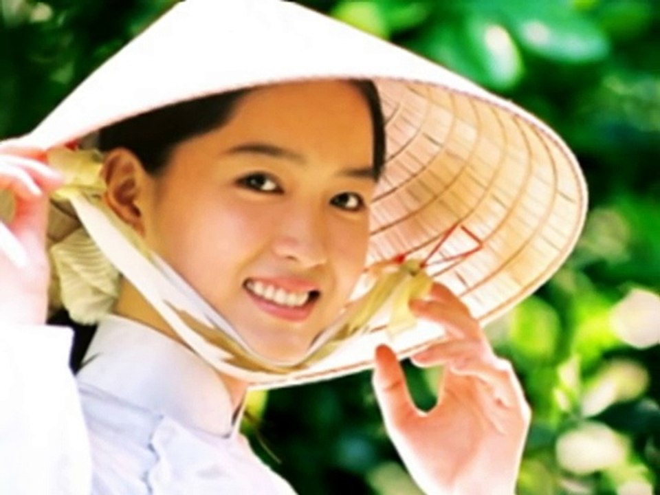 Ao dai - Vietnamese traditional dress