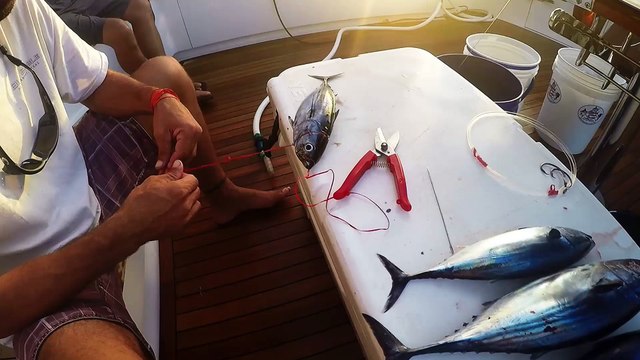 Sea Angel Battles Costa Rica's Blue Marlin