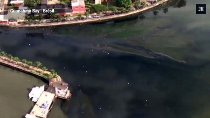 JO 2016 : la pollution des mers, "des crimes environnementaux"