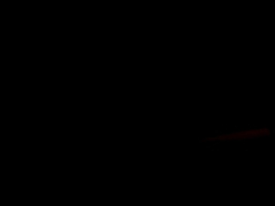 MOV03240