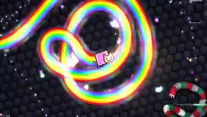 Slither.io Coolest Skin Mod Nyan Cat Invisible Ninja Epic Slither.io Gameplay !
