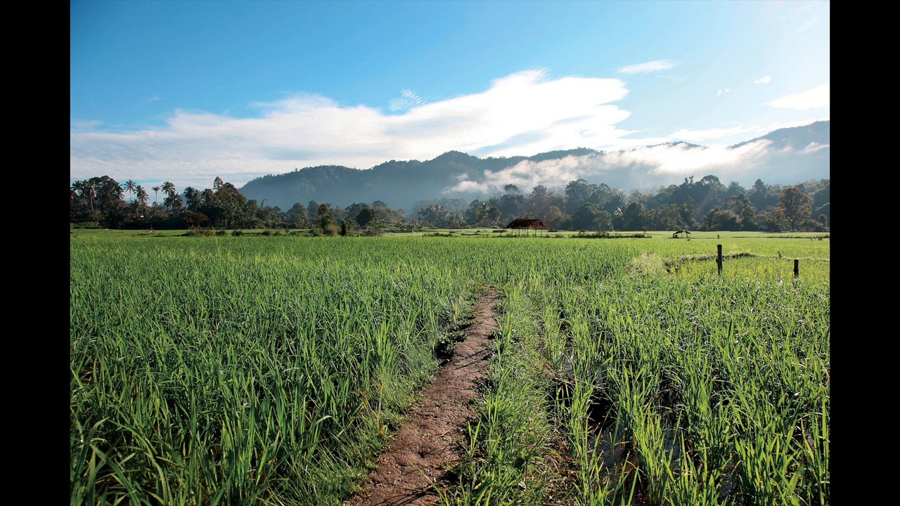 Voyage en terre indigène-  les Kalassans Batak en Indonésie.