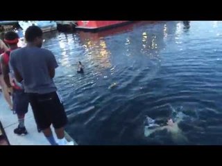 Chicago Teens Jump Into Baltimore Harbor