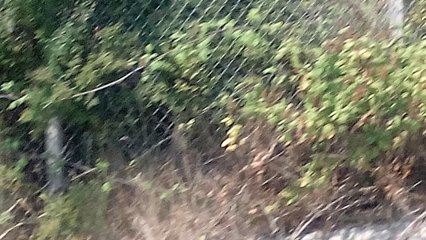 Σκουπιδαριό στο δρόμο για Πλάκα- Λεπτοκαρυά... Ντροπή.