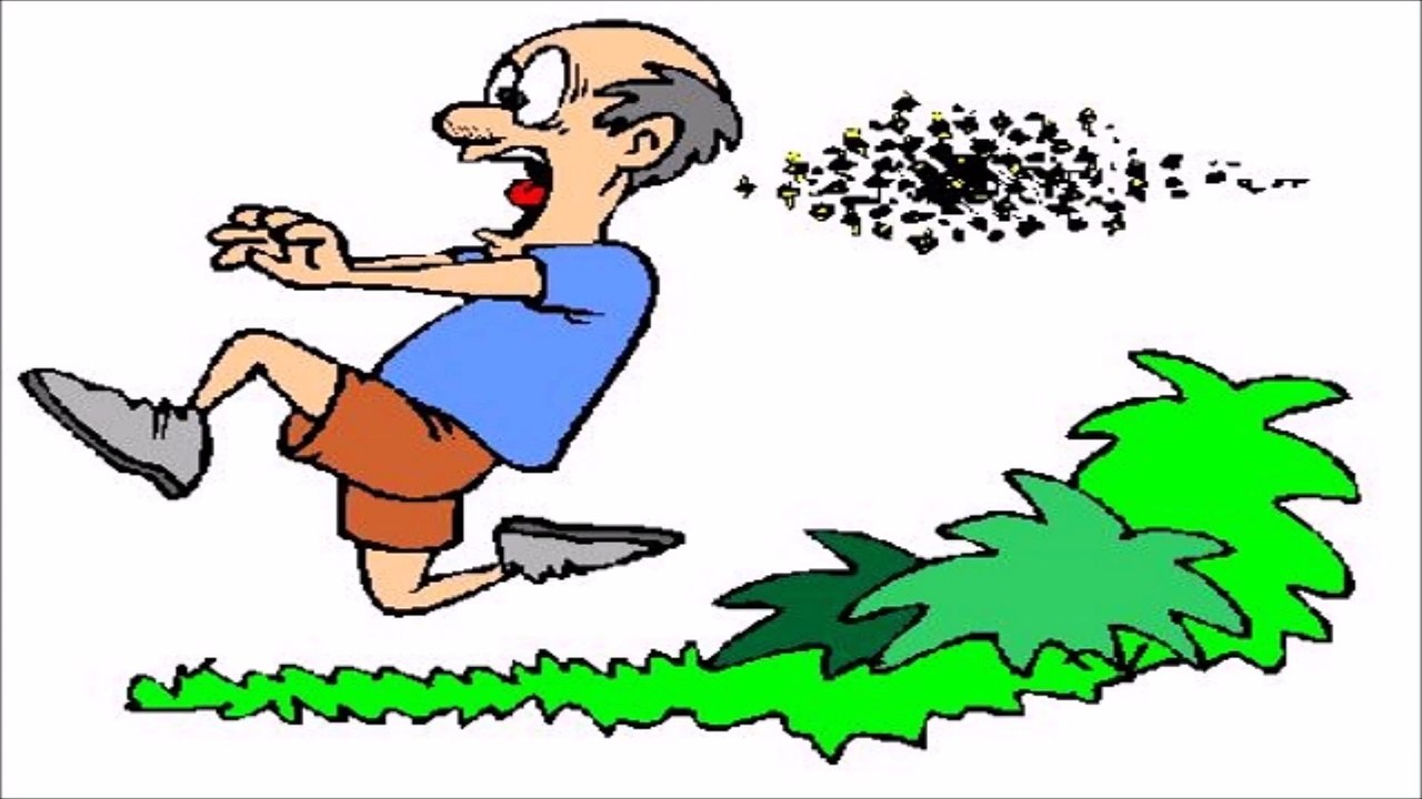 Bee Attack Sound Effect