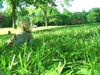 Mariko à Montréal 065