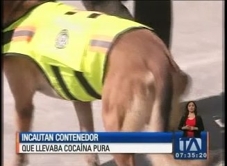 Incautan contenedor que llevaba cocaína pura