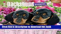Ebook Dachshund Puppies 2016 Mini 7x7 (Multilingual Edition) Full Online