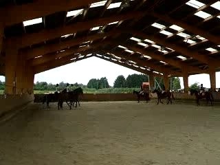 carrousel fete du haras du soleil