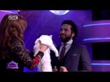 الليلة دي | بالفيديو…سر خوف حسن الرداد من القطط