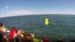 Turistas são surpreendidos por baleia que surge junto ao barco... quando ninguém esperava!