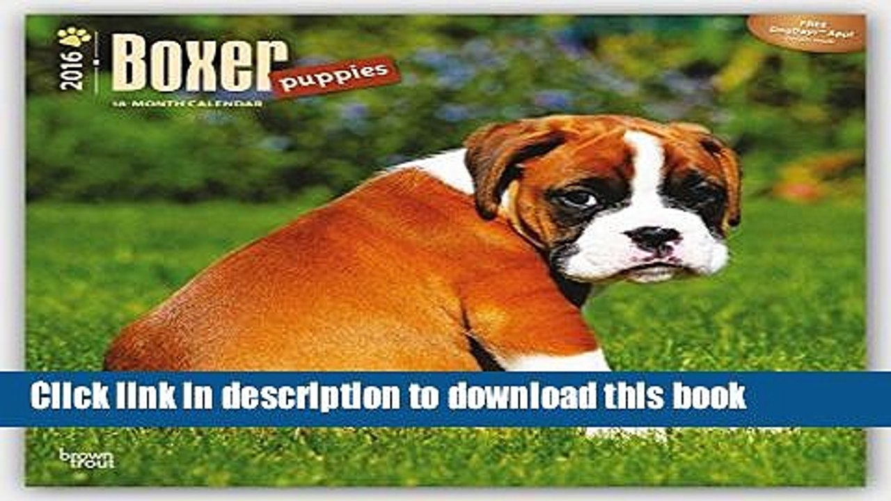 Ebook Boxer Puppies 2016 Square 12x12 Free Download