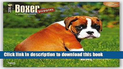 Ebook Boxer Puppies 2016 Square 12x12 Free Download