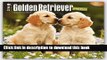 Books Golden Retriever Puppies 2016 Square 12x12 Free Download