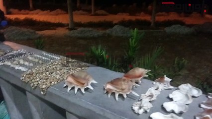 «ربيع» بائع الودع والصَدف على كورنيش مطروح