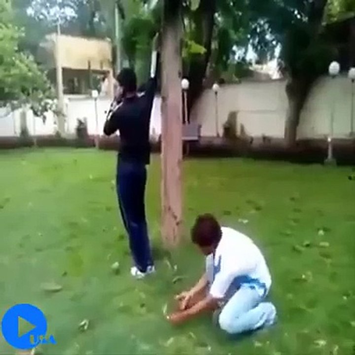 J'en peux plus , regardez ça je suis mdr