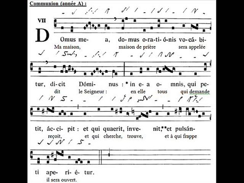 Communio Domus mea, Dominica XX TpA (20è TO)