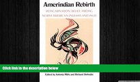 READ book  Amerindian Rebirth: Reincarnation Belief Among North American Indians and Inuit  BOOK