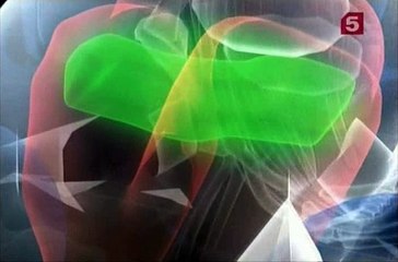 Стресс. Портрет Убийцы (2008)