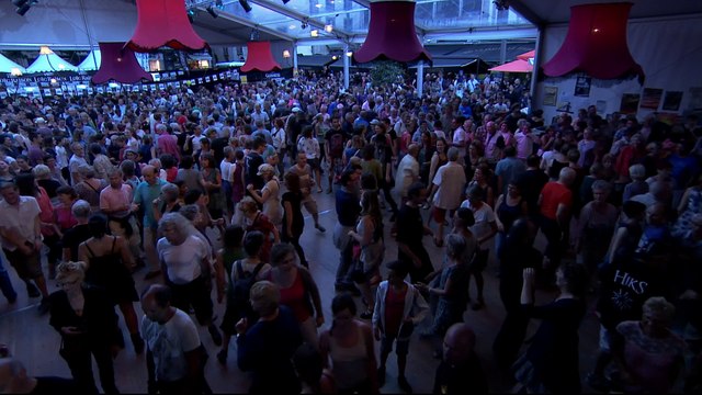 Cyber Fest Noz 2016 - Wig A Wag-1