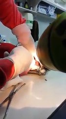 ¿Por qué no deberías darle de comer huesos  a tu perro?